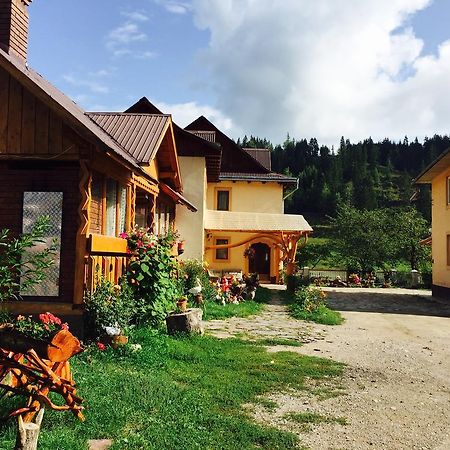 Casa Irinuca Hotel Sadova  Kültér fotó