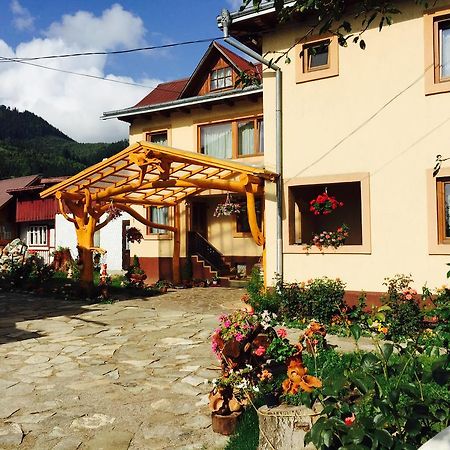 Casa Irinuca Hotel Sadova  Kültér fotó