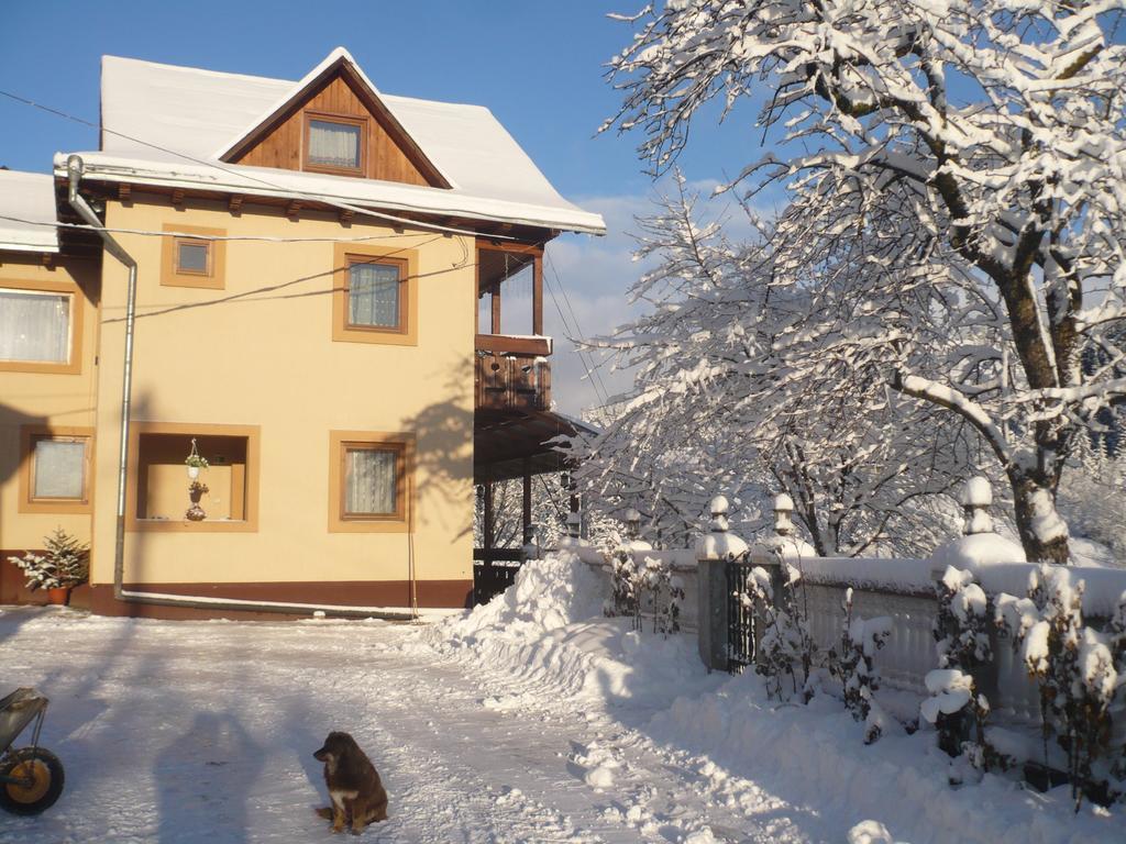 Casa Irinuca Hotel Sadova  Kültér fotó