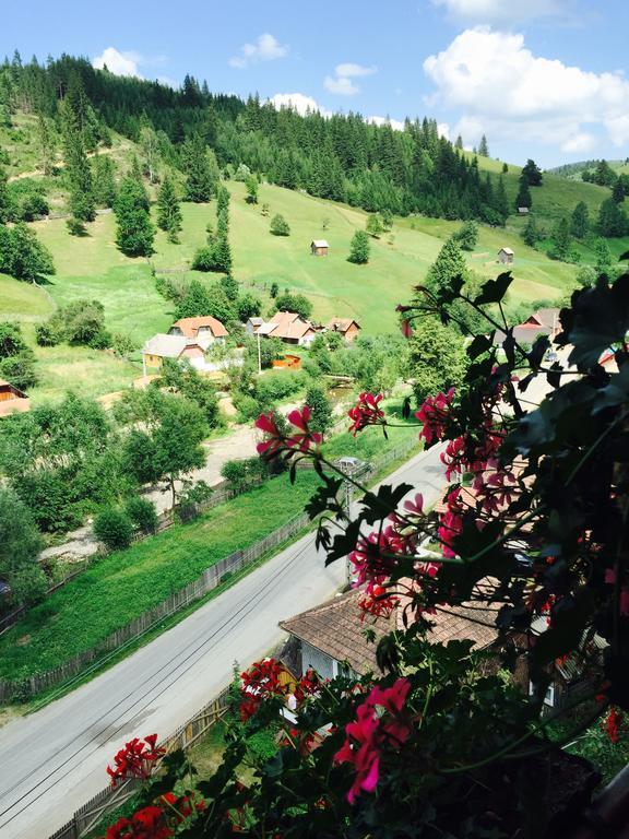 Casa Irinuca Hotel Sadova  Kültér fotó