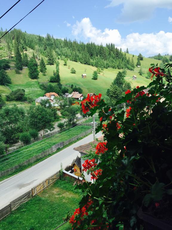 Casa Irinuca Hotel Sadova  Kültér fotó