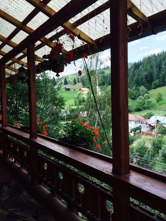 Casa Irinuca Hotel Sadova  Kültér fotó