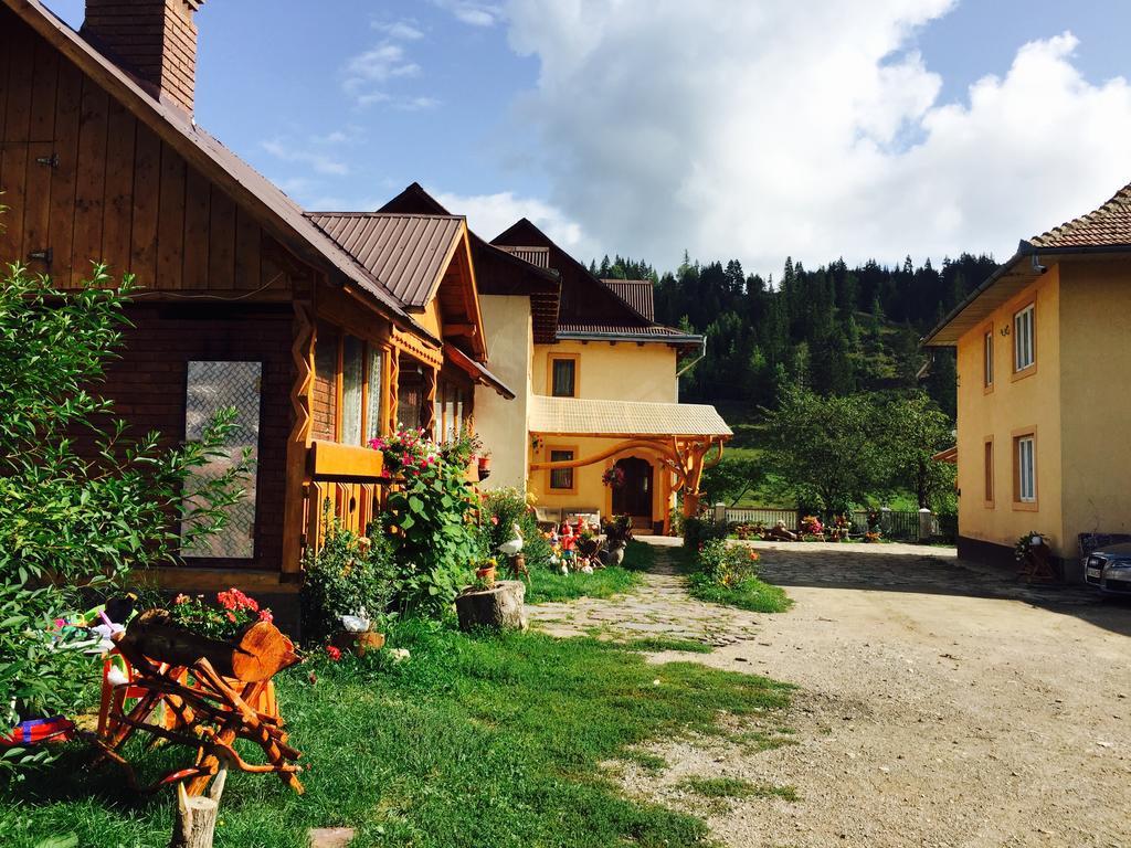 Casa Irinuca Hotel Sadova  Kültér fotó